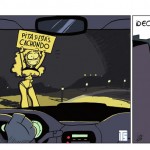 Rip - Interior