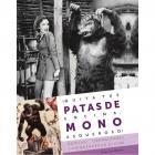 QUITA TUS PATAS DE ENCIMA, MONO ASQUEROSO! Gorilas, orangutanes y chimpanc&eacute;s en el cine