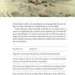 cien-relatos-de-terror2